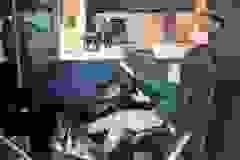 407440753_752028780296180_7758548578246948593_n