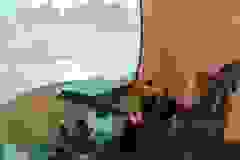 407442198_752029006962824_2945168748292939919_n