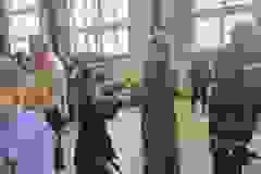 33