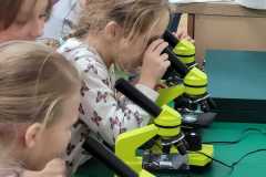 404552900_745487927616932_264777153714328751_n