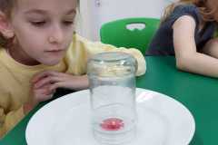 404902564_745739330925125_1203090822972801526_n