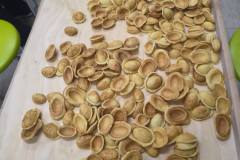 599067831_1295580402607679_7405109407142513390_n