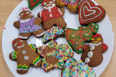 599588678_1295580959274290_4864546246577160156_n