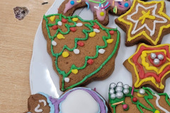 599931849_1295581082607611_7460395383892729009_n