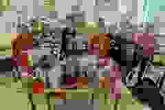 25