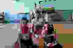 445180305_869200641912326_7322045344067265514_n