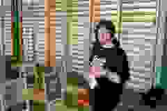 447047052_872193324946391_3501520101598141600_n