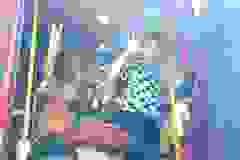 447741039_872194404946283_498504808971198436_n
