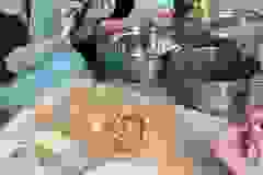 407459183_752476060251452_683009978993384941_n
