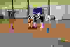 448723373_883287263836997_2818538236810618386_n