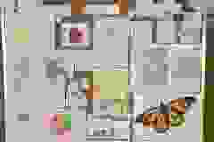 448756981_883286130503777_6523775409213817272_n