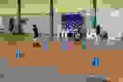 448777813_883287350503655_6243296575081909144_n