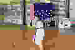 448814397_883287013837022_100898760119089801_n