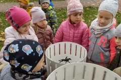 IMG-20221014-WA0007