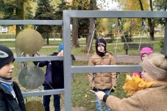 IMG_20221012_110430