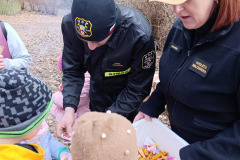 654210373_1376537007845351_4483885925794391449_n