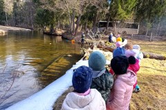 656112329_1376462434519475_8086995980264410664_n