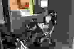 447429070_873961171436273_6863322689642782059_n