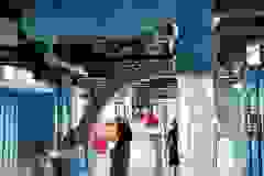 447478846_873960348103022_973346040561421813_n