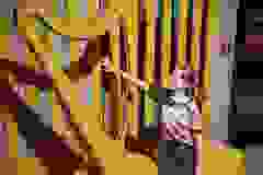 447725068_873959688103088_1367877085679736270_n