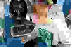 447736215_873960431436347_2839369928772191701_n
