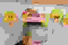 433449458_826346246197766_1810601323885665008_n