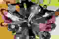 433862157_826343736198017_1374749145043226740_n