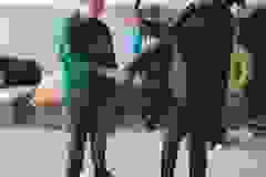 433930983_826345492864508_5466854866219407874_n