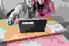 433946365_826344706197920_3156507298181002975_n