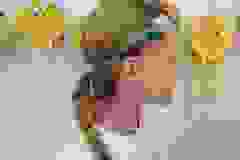 434019314_826346296197761_6418449538574066826_n