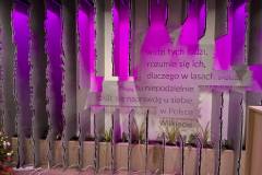 598368590_1294138179418568_9108005209100640064_n