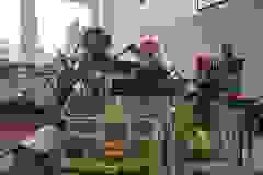 406041310_749594343872957_2017439344437702504_n