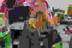 406048924_749594217206303_882195709857463683_n