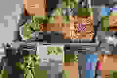 406072070_749594177206307_1601417918105841162_n