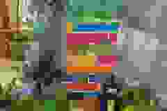 406545009_749593863873005_2157942117936246472_n