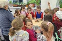 IMG-20231204-WA0046
